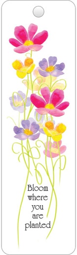 Bookmarks