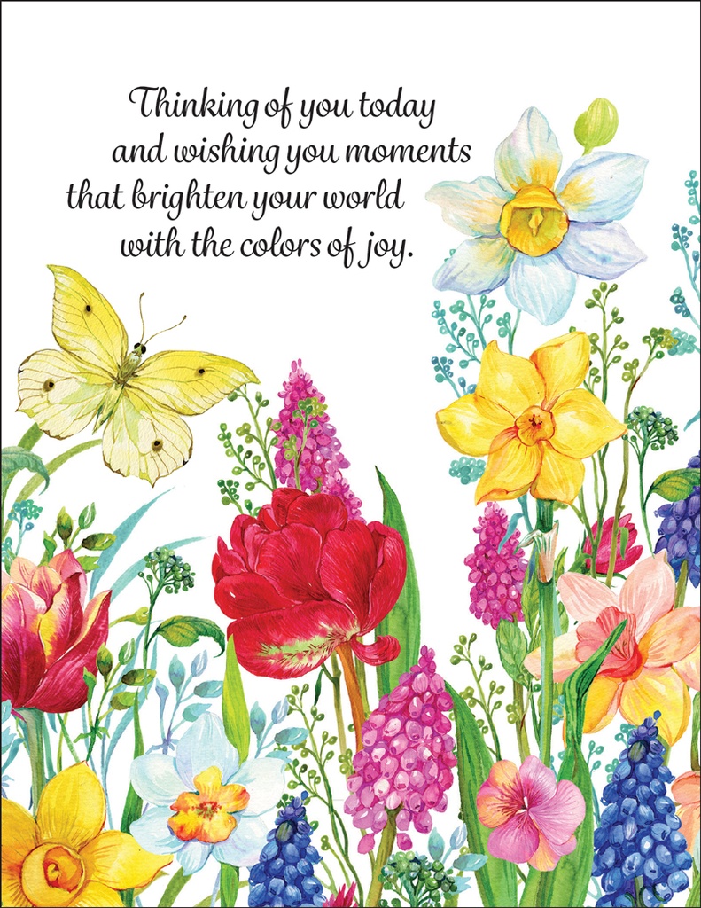 B09 - Value Birthday Cards