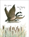 B19 - Birthday Card - Geese