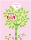 BA13 - Value Baby Girl cards