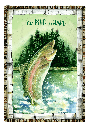 BJ104 - Birthday Cards