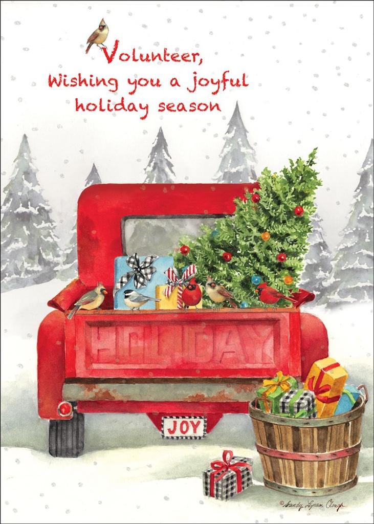 C3711V - Volunteer Christmas