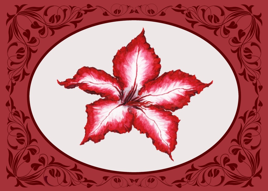 CB707C - Christmas with Scripture
