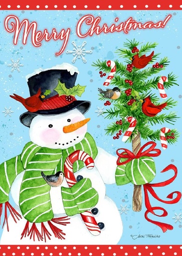 Christmas Snowman Celebration Card