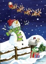 CJ716 - Christmas surprise