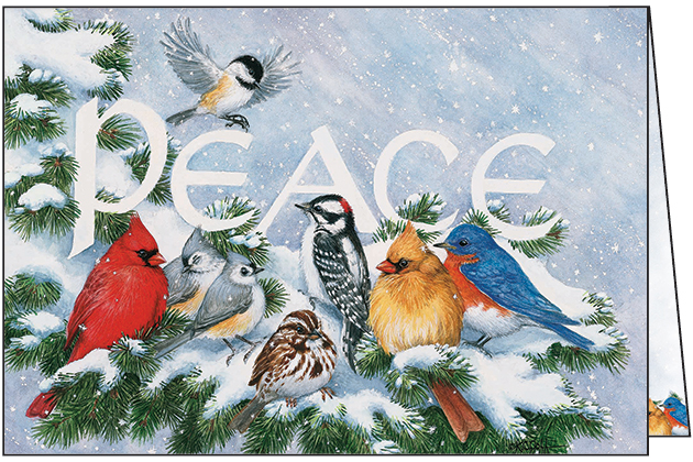 CU737 - Peace Birds