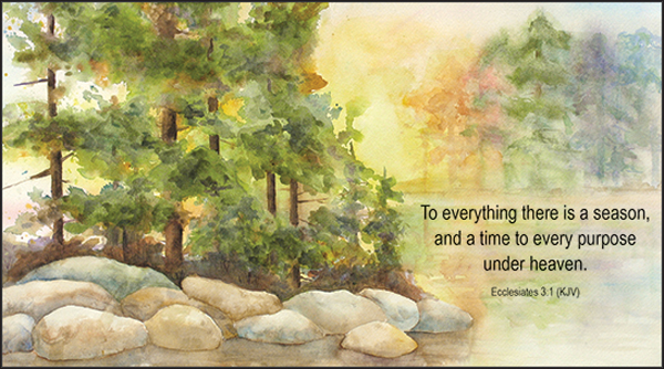 GPP216C - Forest and Lake Planner with Scripture