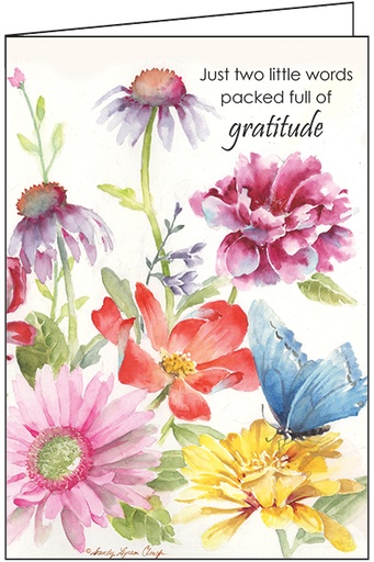 Gratitude in Full Color