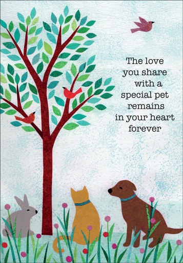 Pet Sympathy Cards for Veterinarians