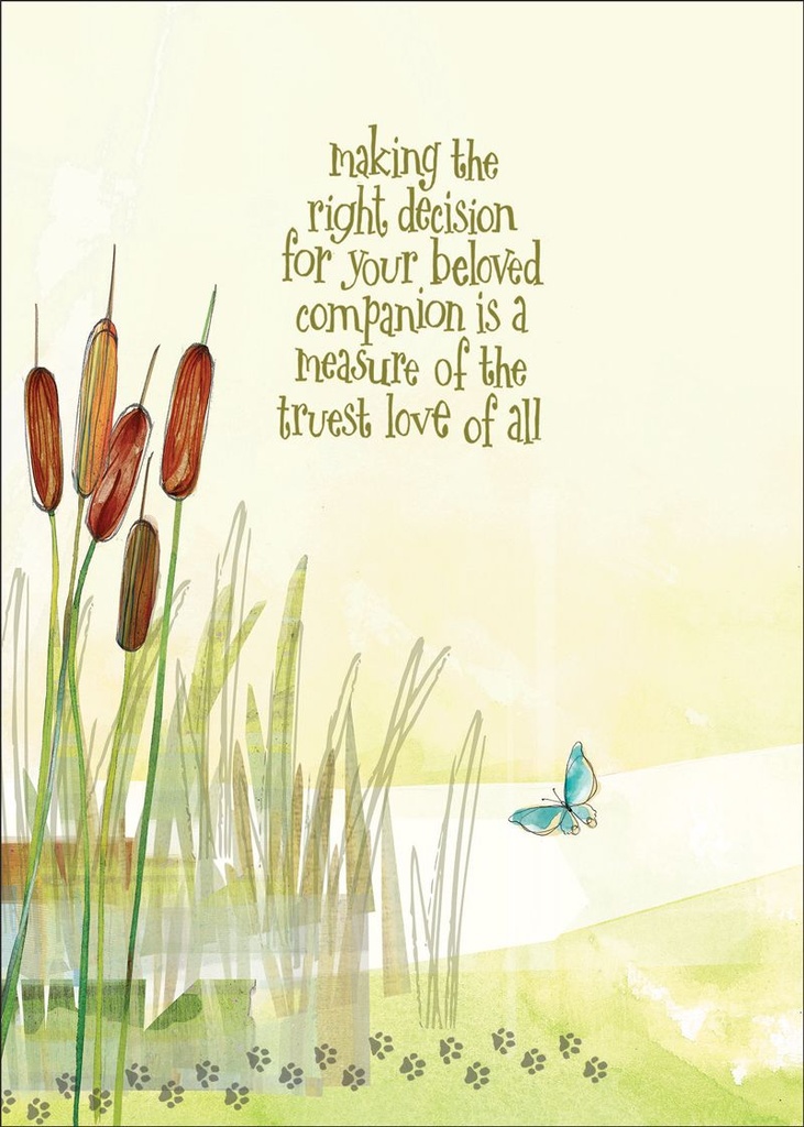 PR417 - Pet Euthanasia Sympathy