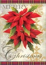 Poinsettia Christmas