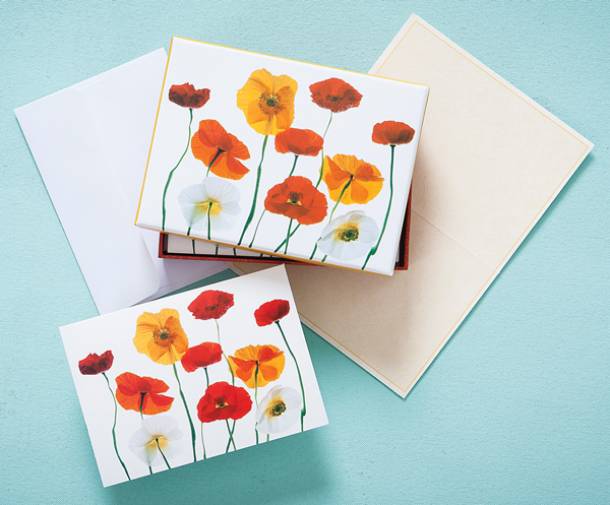 Poppies Boxed Notes-FNC12112