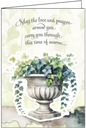 S233 May the love and prayers around you carry you through this time of sorrow
