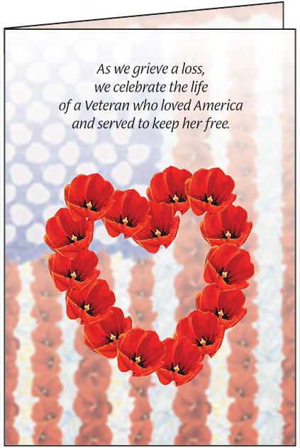 S6201 - Patriotic Sympathy