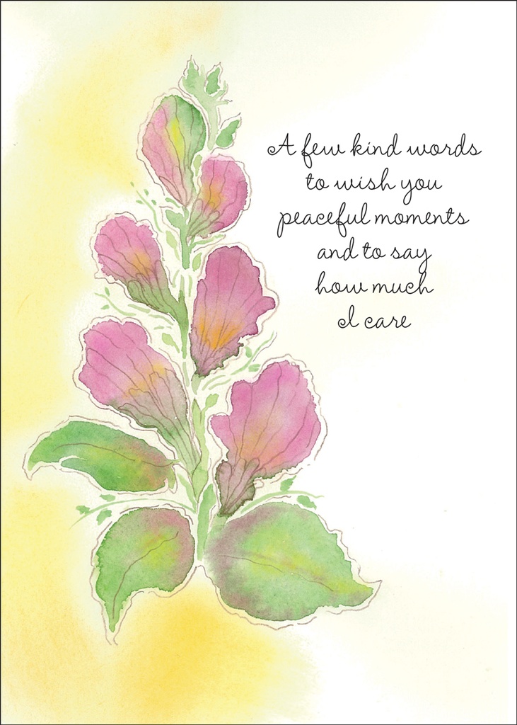 SH253 - Encouragement