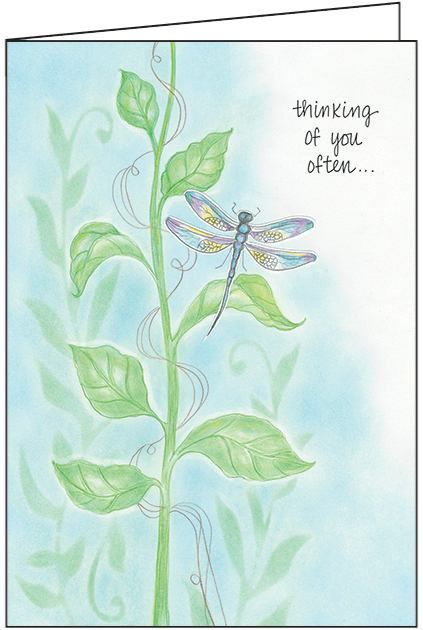 SH257 - Thinking of You encouragement card