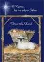 Star and Manger Christmas