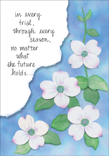 Support Card