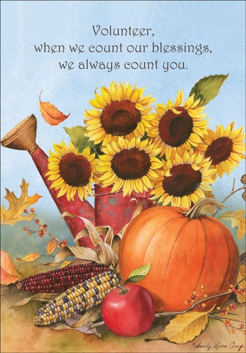 Volunteer Thanksgiving