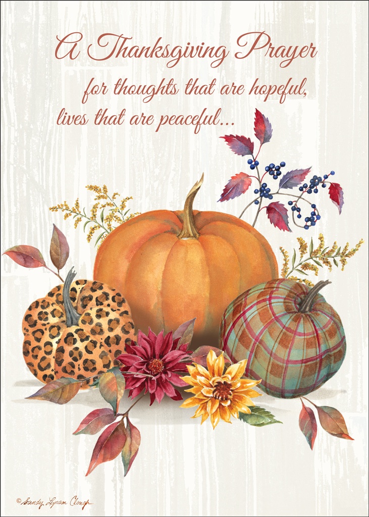TG3882 - Thanksgiving Cards
