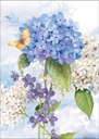 Blank Inside Hydrangea 