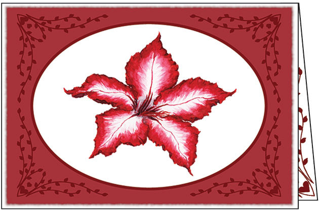 CB707C - Christmas with Scripture - Cello Pack of 10