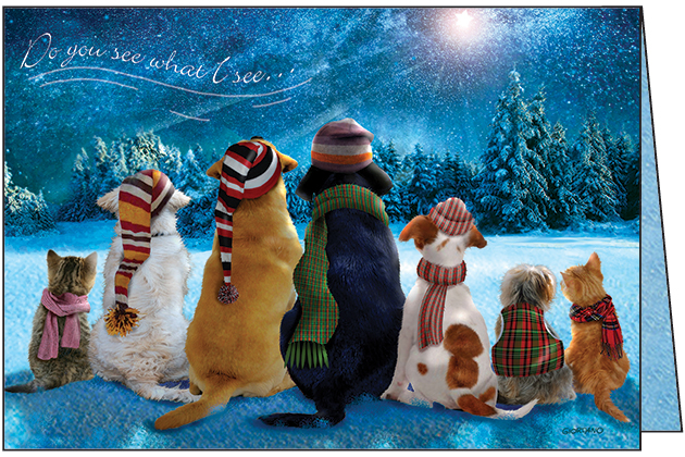 CU739 - Animals waiting - Cello Pack of 10