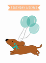Dachshund Birthday 