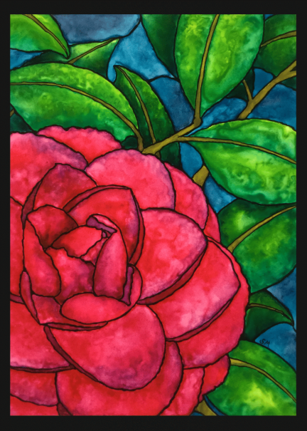 Christmas Camellia 