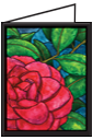 Christmas Camellia 