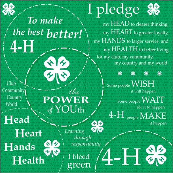 4-H Pledge Scrapbook Paper-LS279