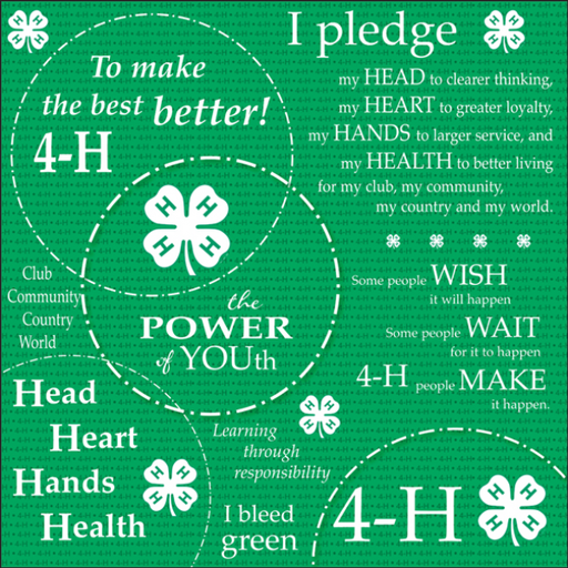 4-H Pledge Scrapbook Paper