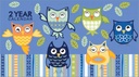 Blue Owls Pocket Planner-WPP232