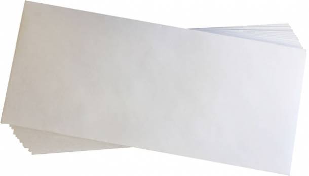 #10 White Letter Paper Envelopes