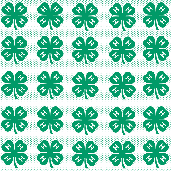 4-H Clovers Galore