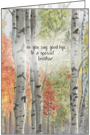 Loss of Brother Sympathy Card