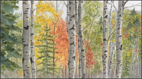 Wooded Forest Pocket Planner