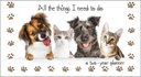 PP251 - 2 Year Pocket Calendars
