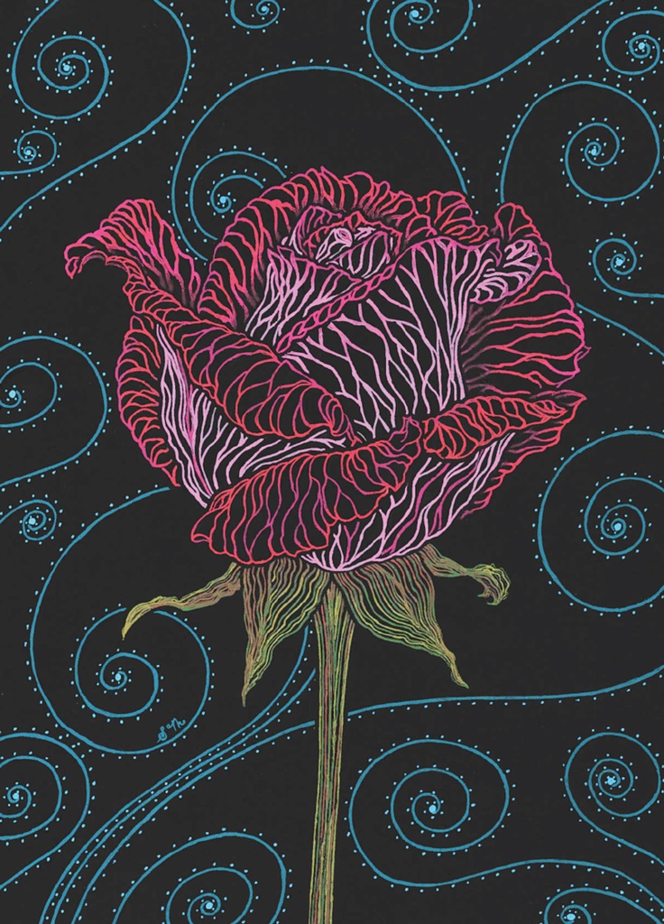 BBL13 - 3.5 x 5 Note Cards