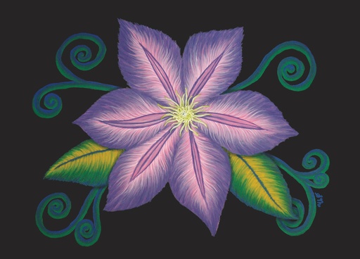 3.5 x 5 Note Cards