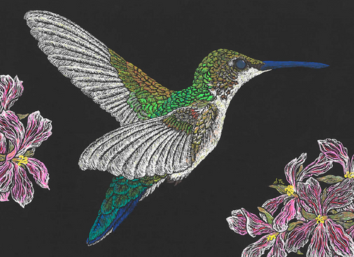 BBL10 - 3.5 x 5 Note cards