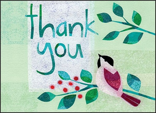 Volunteer Thank You Notes