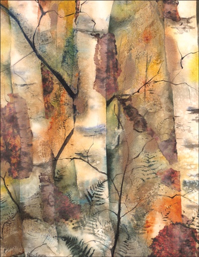 Colorful Birch