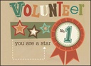 WBL15V - Star Volunteer Note Cards