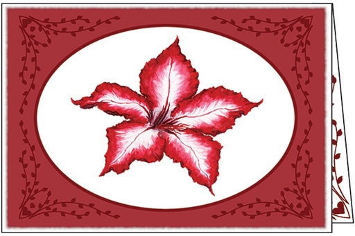 [CB707C] CB707C - Christmas with Scripture - Cello Pack of 10