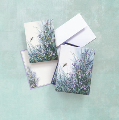 Hummingbird Boxed Notes-FNC12110