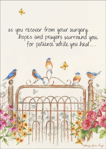 [GW3506] GW3506 - Get Well Surgery Recovery