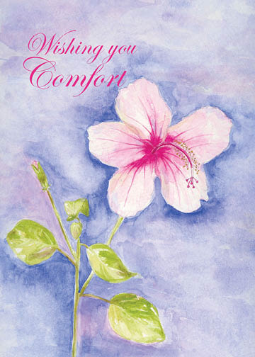 Wishing You Comfort