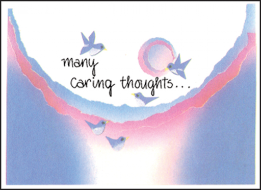 [BL19H] Many Caring Thoughts Note Cards-BL19H