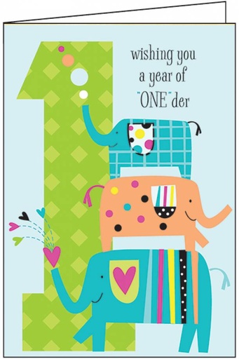 First Birthday for Boy